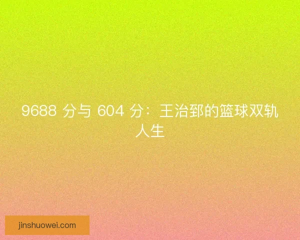 9688 分与 604 分：王治郅的篮球双轨人生